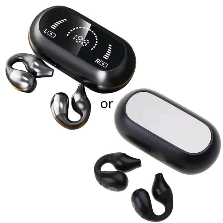 Wireless bluetooth earphones